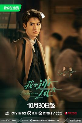 丰田亚洲龙车机优化网站